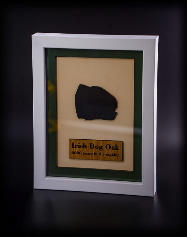 Irish Bog Oak 6000 years in the making in mounted picture frame